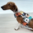 Easyfit Dog Harness - Size M